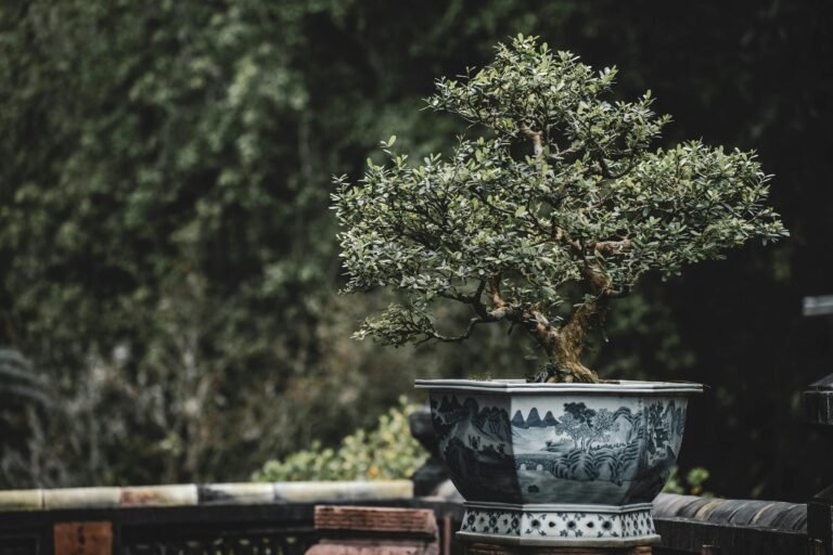 pexels karolina 2031292 30819359